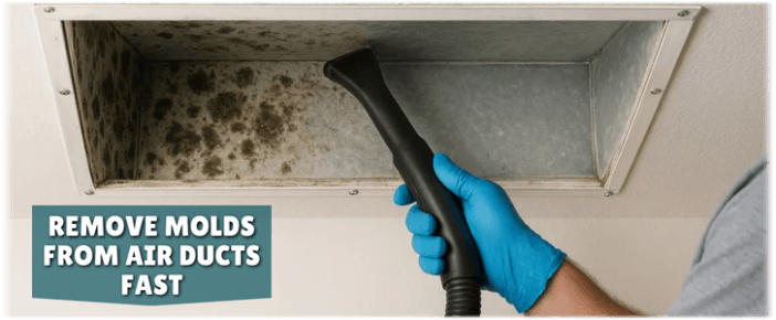 Air Duct Mold Removal in Coppell TX